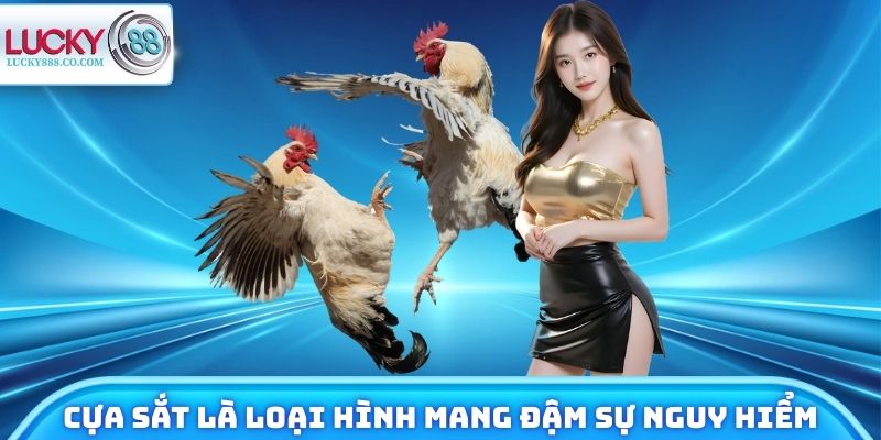 Đá Gà Lucky88 - Xem Chiến Kê Trực Tuyến, Đặt Cược 24/7 4 Cựa sắt là loại hình mang đậm sự nguy hiểm