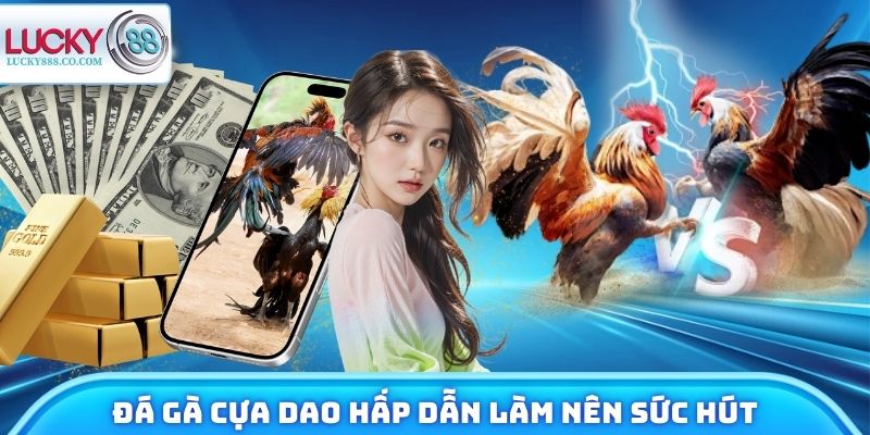 Đá Gà Cựa Dao - Nhận Định Trận Đấu, Trải Nghiệm Tiềm Năng 2 Đá gà cựa dao hấp dẫn làm nên sức hút tại Lucky88