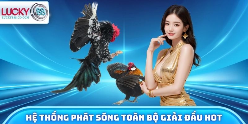 Đá Gà Lucky88 - Xem Chiến Kê Trực Tuyến, Đặt Cược 24/7 3 Hệ thống phát sóng toàn bộ giải đấu hot