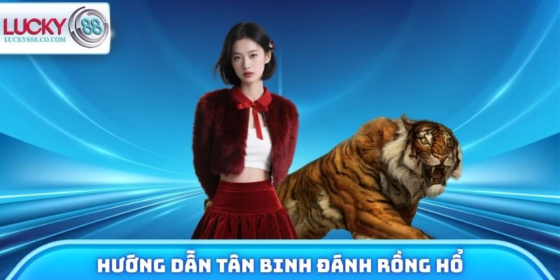Rồng Hổ - Chi Tiết Thông Tin Tựa Game Bài Hot Năm 2026 3 Hướng dẫn tân binh đánh rồng hổ